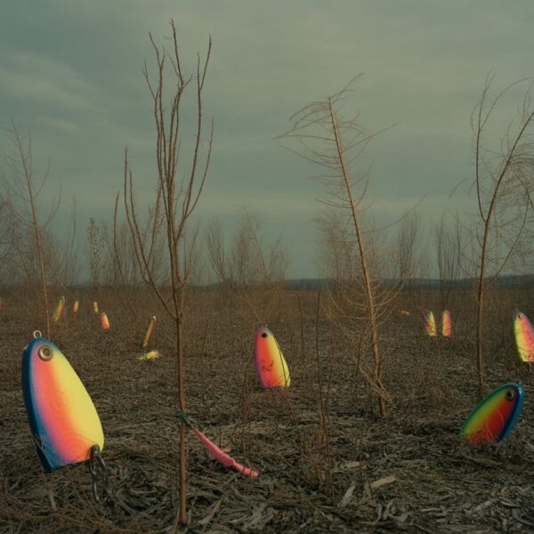 Presselandschaft im Sterben: Wenn nur…